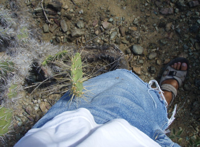 Thumbnail Photo